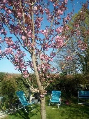 La Maisonnette - Animaux Acceptes, Parking Prive, Jardin Plein Sud * Wissant